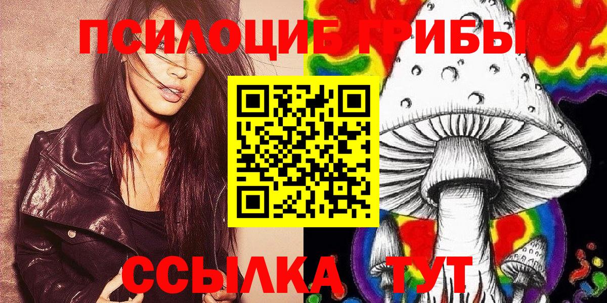 Псилоцибиновые грибы Psilocybe  Вход с VPN  Сосновый Бор  Псилоцибиновые грибы Psilocybine cubensis 