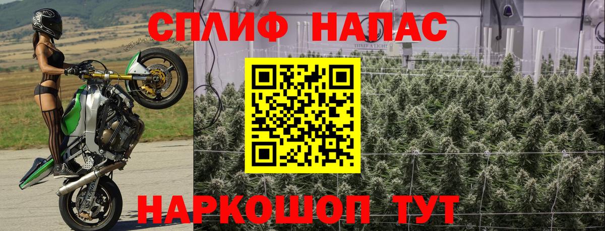 Бошки марихуана VHQ  Каннабис конопля  Сосновый Бор  МАРИХУАНА Amnesia  Вход с VPN  Шишки марихуана THC 21% 